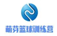 篮球小学生基本功训练教学反思总结_2